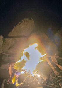 IMG_20251122_210512469_HDR_AE